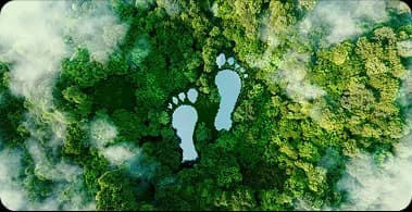 Greener Prints ๐ฟ